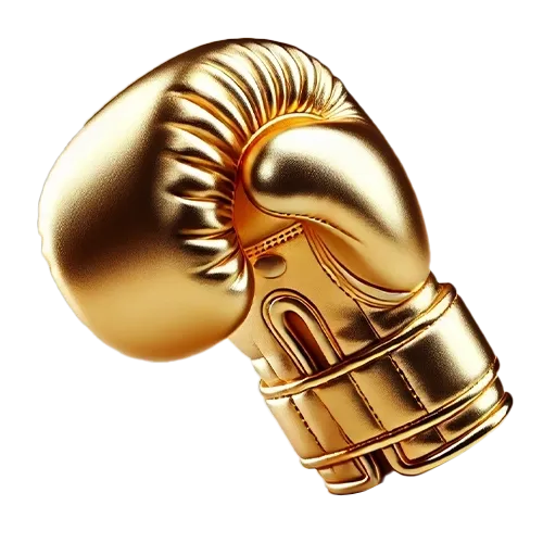 boxingicon